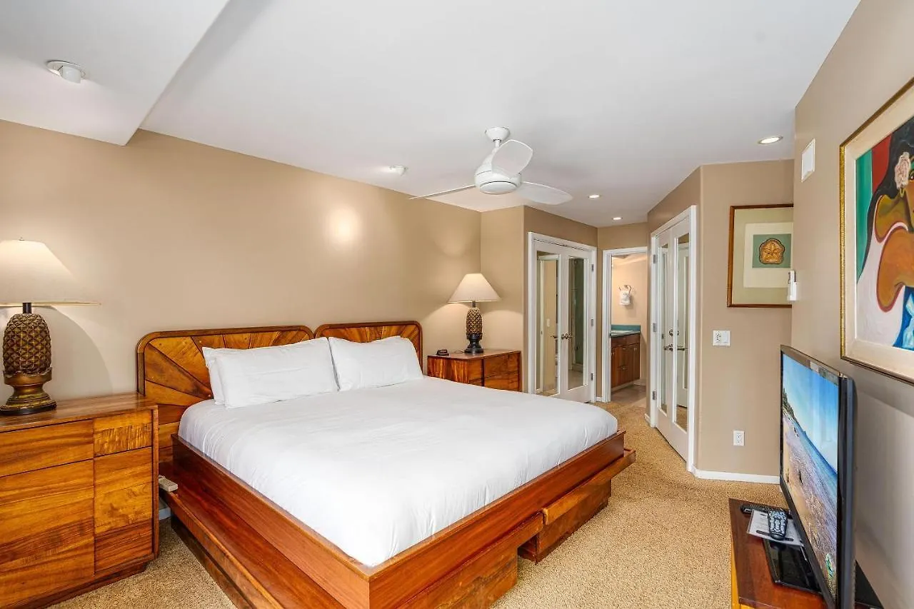 Hale Hui Kai 313, Direct Ocean Front, Split Ac Villa Wailea  Holiday home Wailea (Maui)